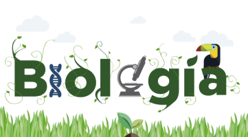 edusoftware6b.milaulas.com